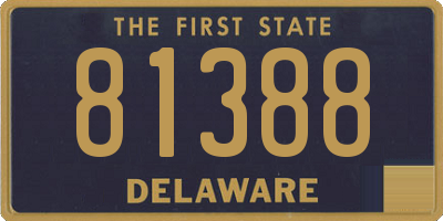 DE license plate 81388