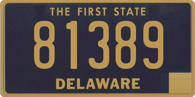 DE license plate 81389