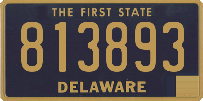 DE license plate 813893