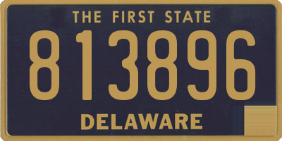 DE license plate 813896