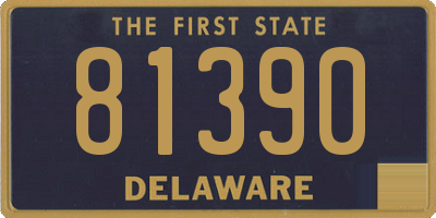 DE license plate 81390