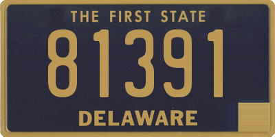 DE license plate 81391
