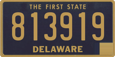 DE license plate 813919
