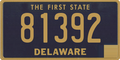 DE license plate 81392