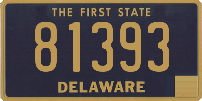 DE license plate 81393