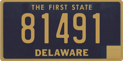 DE license plate 81491