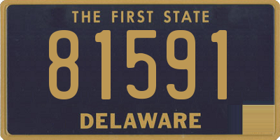DE license plate 81591