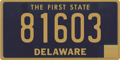 DE license plate 81603