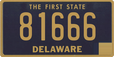 DE license plate 81666