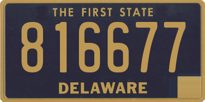 DE license plate 816677