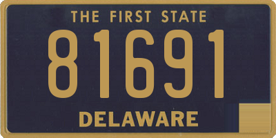 DE license plate 81691