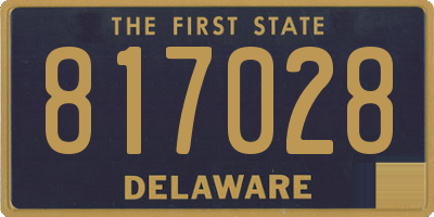 DE license plate 817028