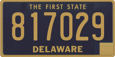 DE license plate 817029