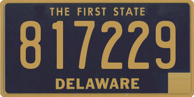 DE license plate 817229