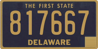 DE license plate 817667