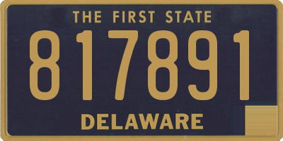 DE license plate 817891