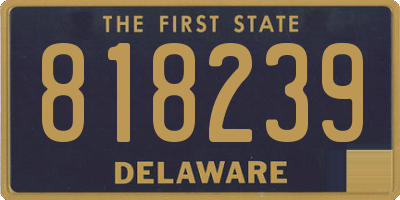 DE license plate 818239