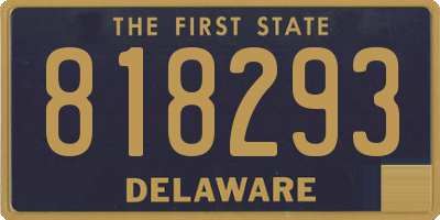 DE license plate 818293
