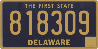 DE license plate 818309