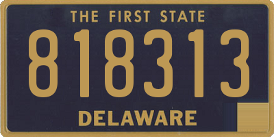 DE license plate 818313