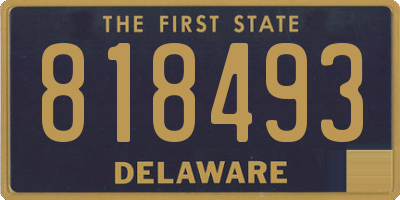 DE license plate 818493