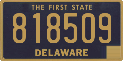 DE license plate 818509