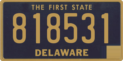 DE license plate 818531