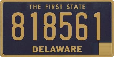 DE license plate 818561