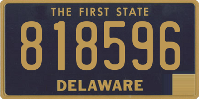 DE license plate 818596