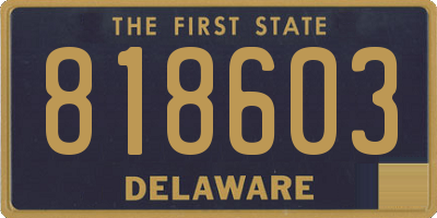 DE license plate 818603