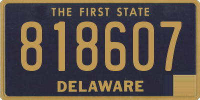 DE license plate 818607