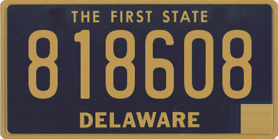 DE license plate 818608