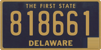 DE license plate 818661