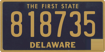 DE license plate 818735