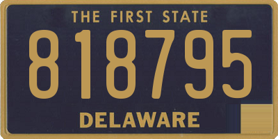 DE license plate 818795