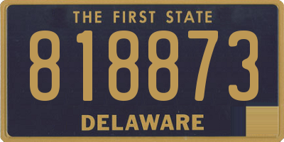 DE license plate 818873