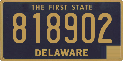 DE license plate 818902