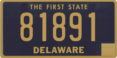 DE license plate 81891