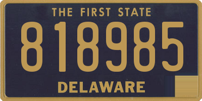 DE license plate 818985