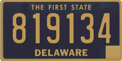DE license plate 819134