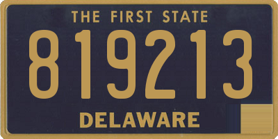 DE license plate 819213