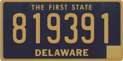 DE license plate 819391