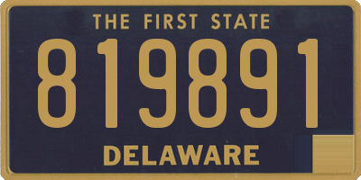 DE license plate 819891