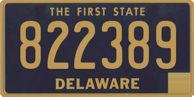 DE license plate 822389