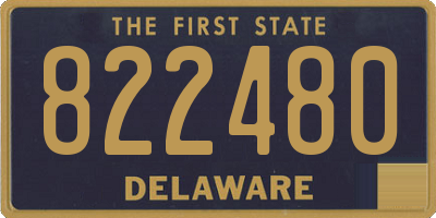 DE license plate 822480