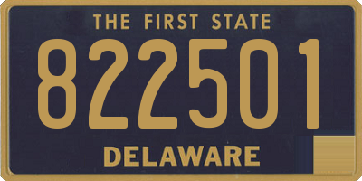 DE license plate 822501