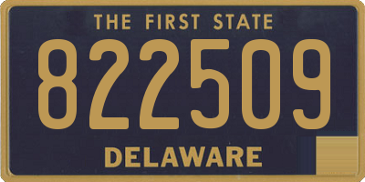 DE license plate 822509