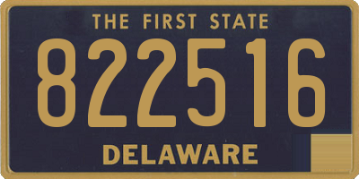 DE license plate 822516