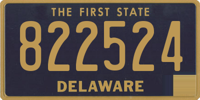 DE license plate 822524