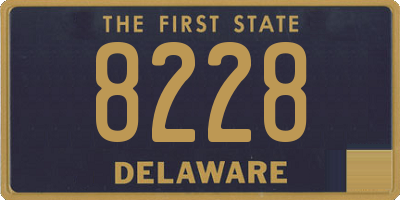 DE license plate 8228